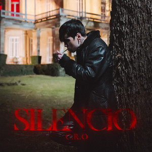 Portada de Silencio