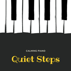 Quiet Steps by Piano Voce Music