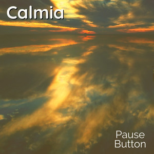 Pause Button