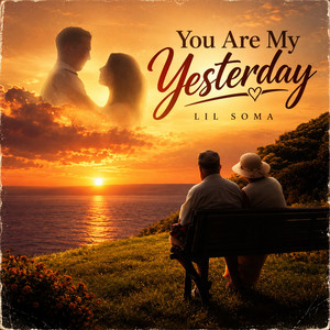 Dancing in the Night with You by Lil Soma