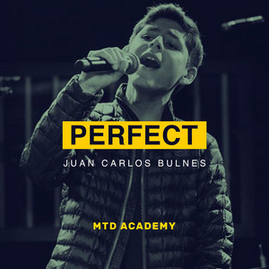 MTD Academy - Perfect