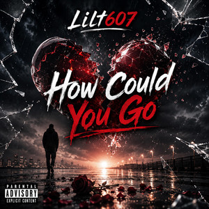 How Could You Go by Lilt607