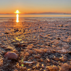 Dj Lump - How We Grow