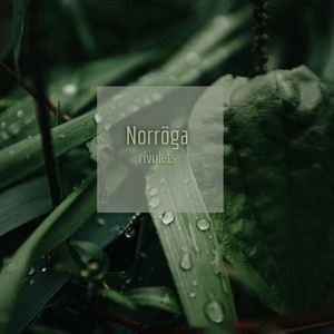 Rivulets by Norröga