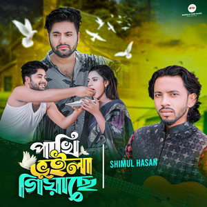 Shimul Hasan Baul - Pakhi Bhuila Giyache