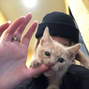 lucy~ - slowed + reverb