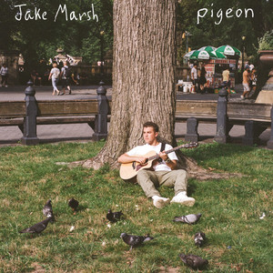 Jake Marsh — pigeon album art