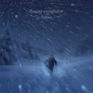 chasing snowflakes
