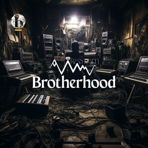 Brotherhood by Mohamed Rostom