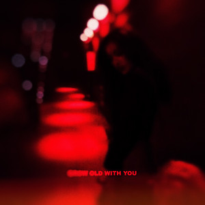Grow Old With You by Parsa