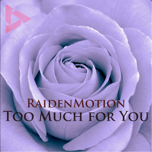 Too Much For You by RaidenMotion