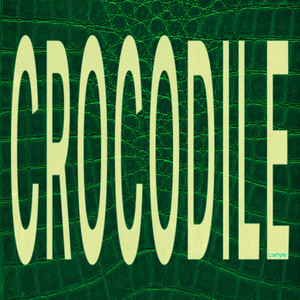 crocodile by Carlyle