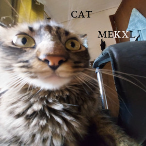 Cat by Mekxl