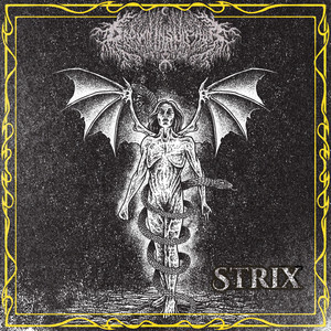 Neither Night Nor Day by Drown in Sulphur