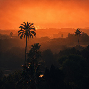 PALM LIGHTS by Djsaxlondon