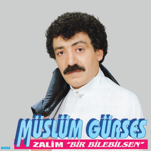 Müslüm Gürses - Tatlı Dillim