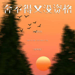 舍不得又没资格 - DJ清清版 by 万能和弦