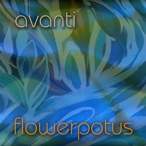 Avanti! - Forest Station