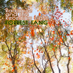 album cover: Radiance and the Receding Light