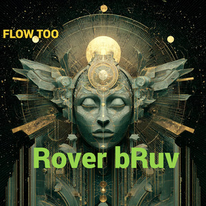 Take It Slow by Rover bRuv