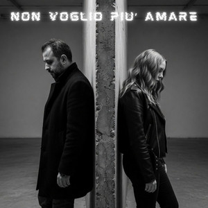 Non voglio piu' amare by The Dreamers