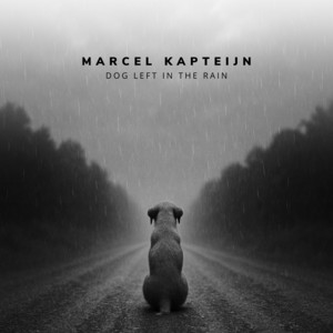 Dog Left In The Rain