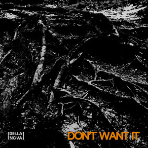 Don't Want It by DELLA NOVA