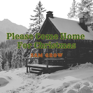 Please Come Home for Christmas