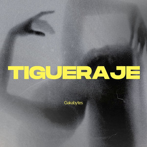 Tigueraje by GAKABYTES