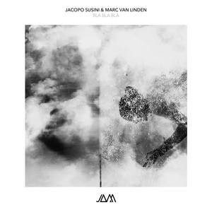 Confidence by Jacopo Susini, Marc Van Linden
