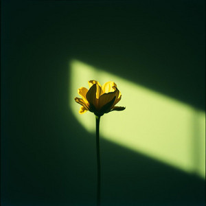 Letting You Go Hurts Too by The Songs Oracle