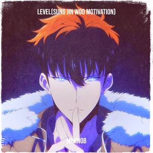 Level(Sung Jin Woo Motivation)