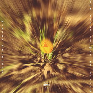 The First Flower Of Spring by Niklas Sandberg