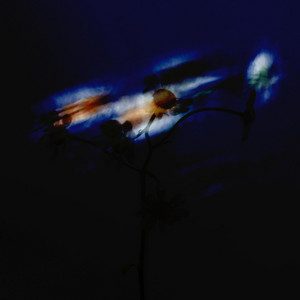 Chlorine by PROMISE