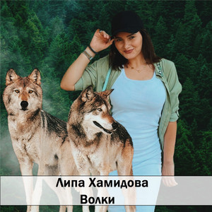 Липа Хамитова - Волки