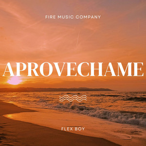 Aprovechame by Flex Boy