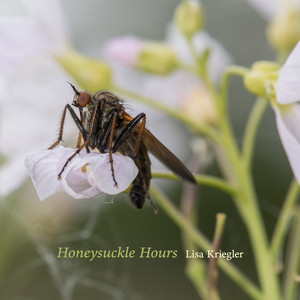 Honeysuckle Hours by Lisa Kriegler