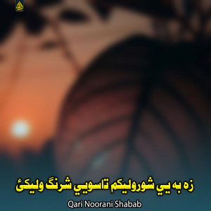 Qari Noorani Shabab - زه به یي شورولیکم تاسویي شرنگ ولیکئ