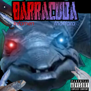 Barracuda