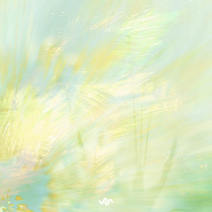 New Frontiers by nuora