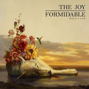 This Ladder Is Ours by The Joy Formidable