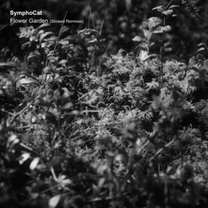 Stay under the Rain - Slowed Remix by SymphoCat