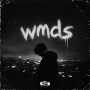 wmds by yinluv
