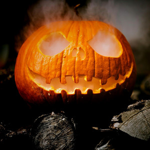 Seb Records - The Reign of Terror