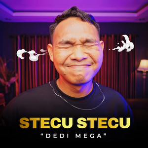 Stecu Stecu