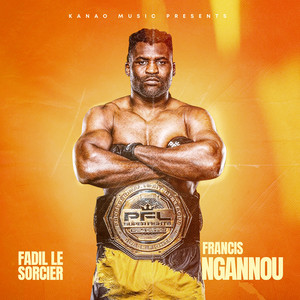Fadil le sorcier - FRANCIS NGANNOU
