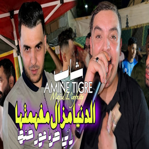 Denia Mazel Mafhamtha by Cheb Amine Tigre