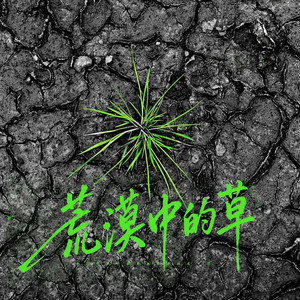 荒漠中的草 by 杨凯盛