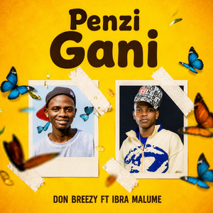 Penzi Gani by Don Breezy, IBRA MALUME