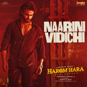 Naarini Vidichi (From 